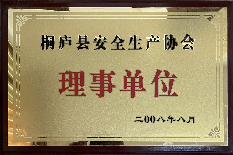Director unit of Safety Production Association Director unit of Safety Production Association