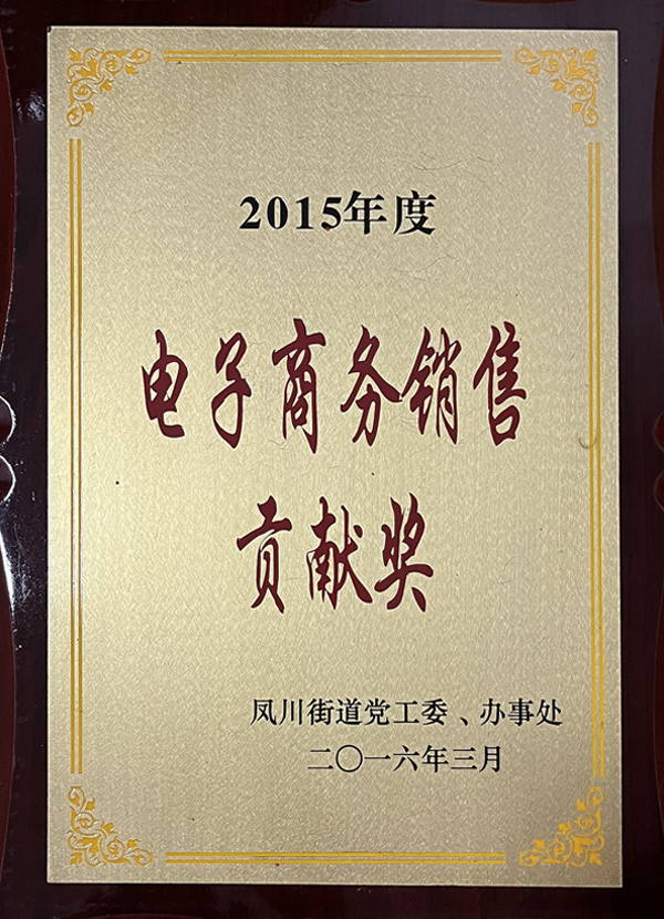 E-commerce Sales Contribution Award E-commerce Sales Contribution Award