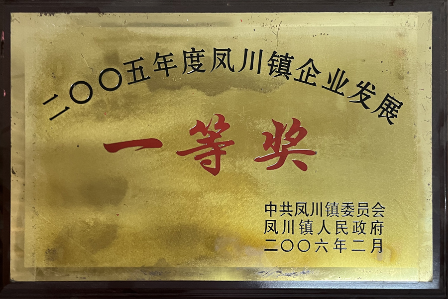 企业发展一等奖