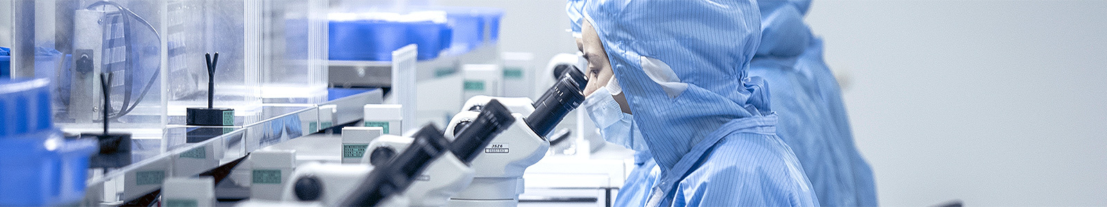 Electrophysiology Electrophysiology