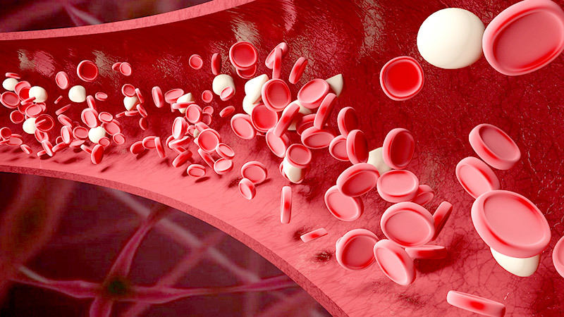 Vascular Access
