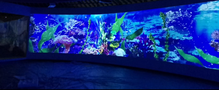 惠州海洋館投影經(jīng)典案例