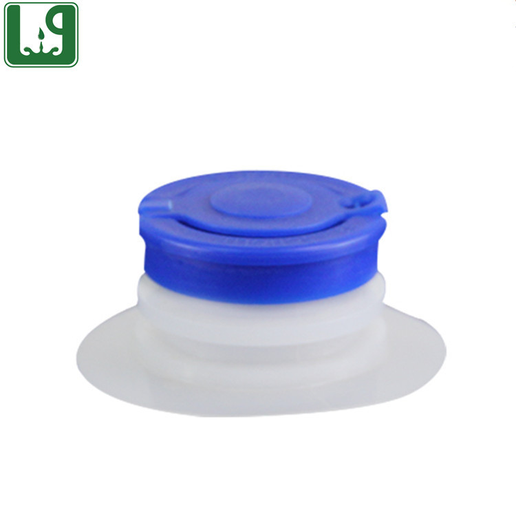 Cap fiment for bag in box Package