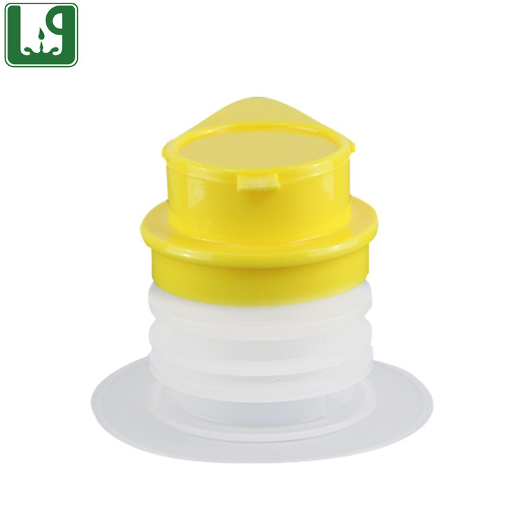 Pouring cap for bag in box Package