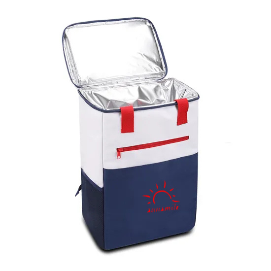 Cooler Bag
