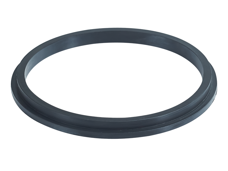 Valve Seal