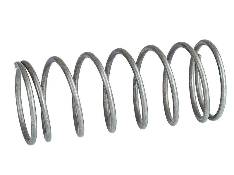 Valve Spring