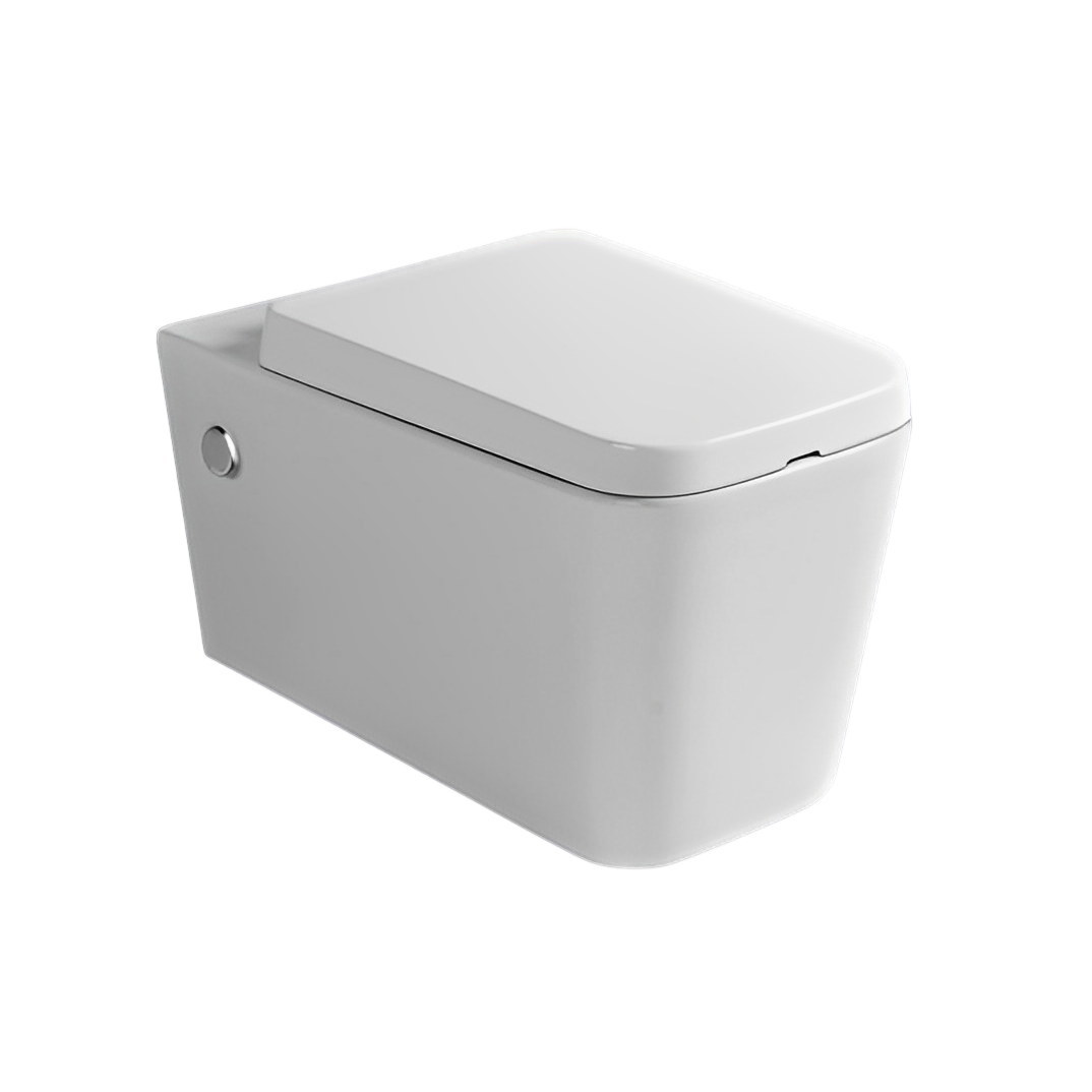 FES-VI-88869H (H8869)