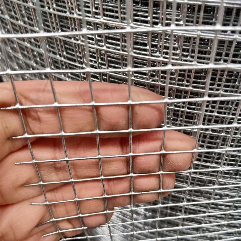 Welded Wire Mesh