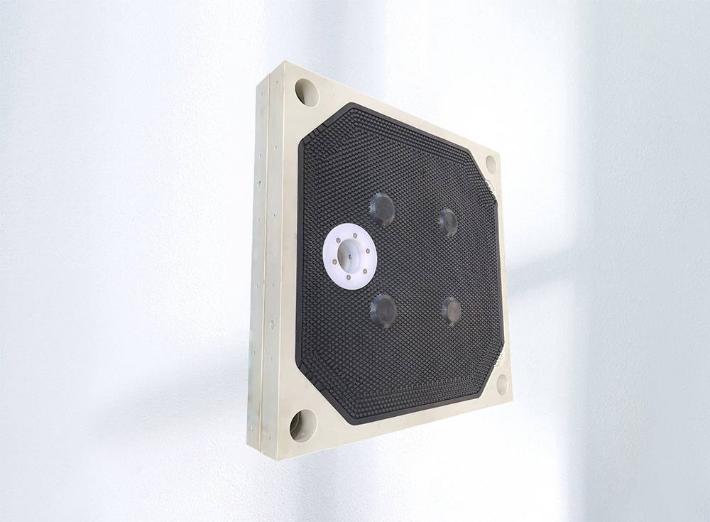 1000 Diaphragm plate
