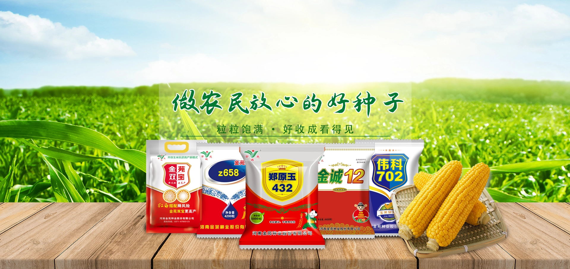 金苑種業(yè)