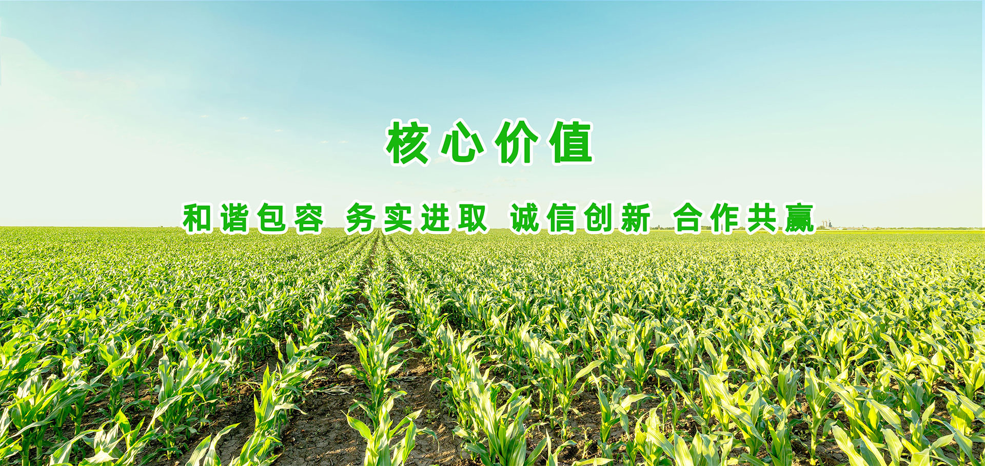 金苑種業(yè)