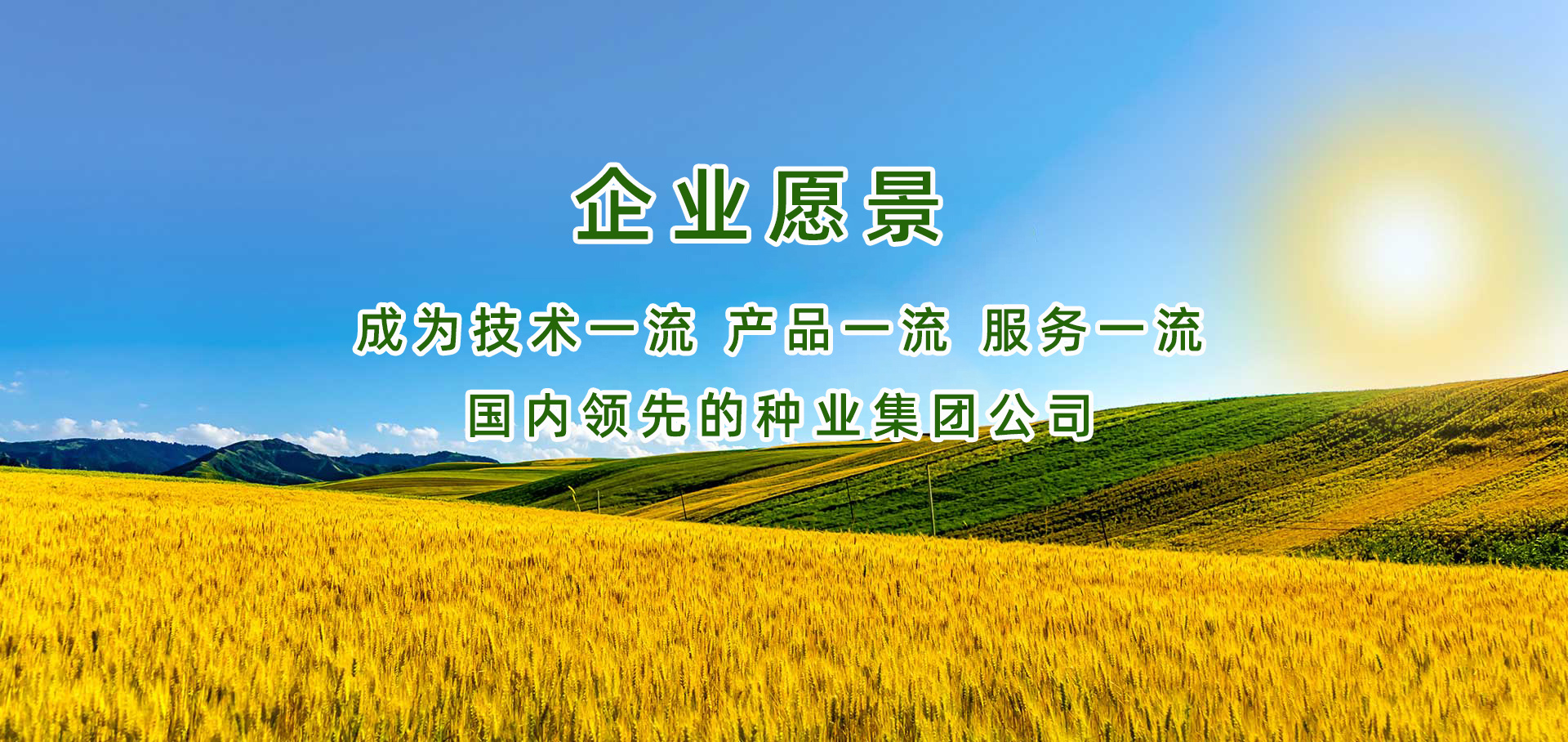 公司愿景