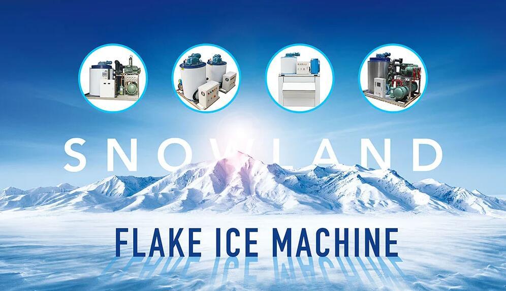 10 Ton Industrial Commercial Ice Flake Making Machine Price with Crusher and Coldroom