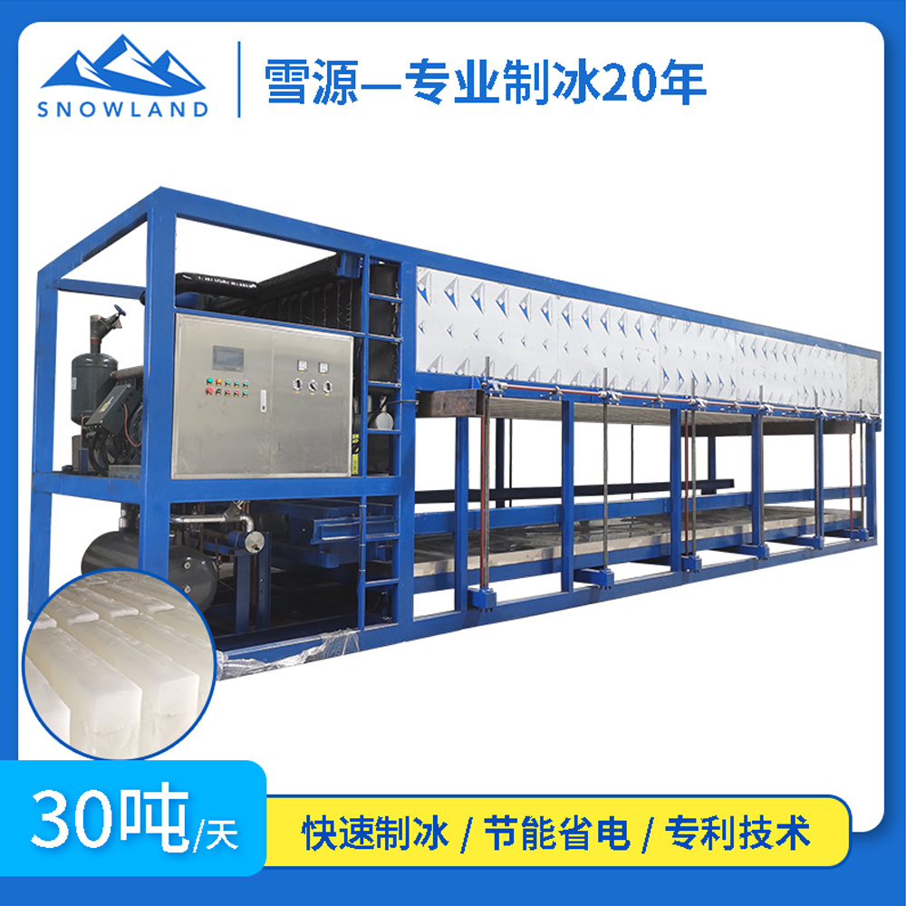 浙江臺(tái)州2臺(tái)30噸制冰機(jī)