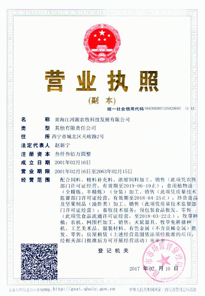 三证合一副本