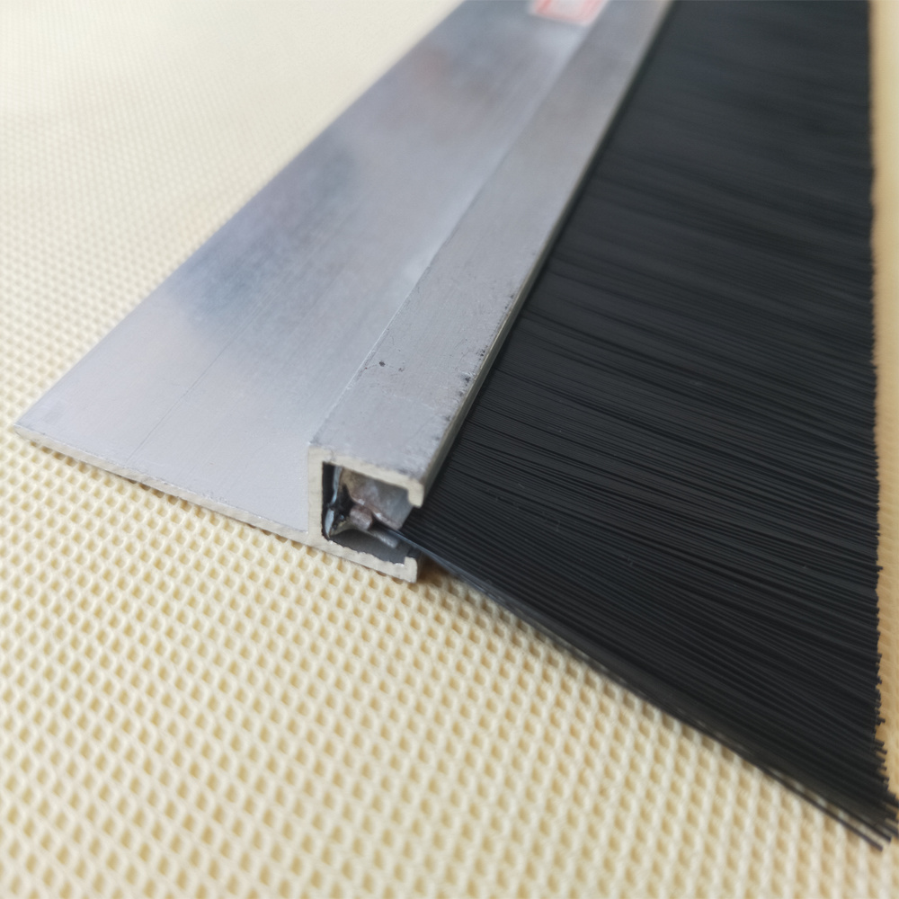 Revolving door brush
