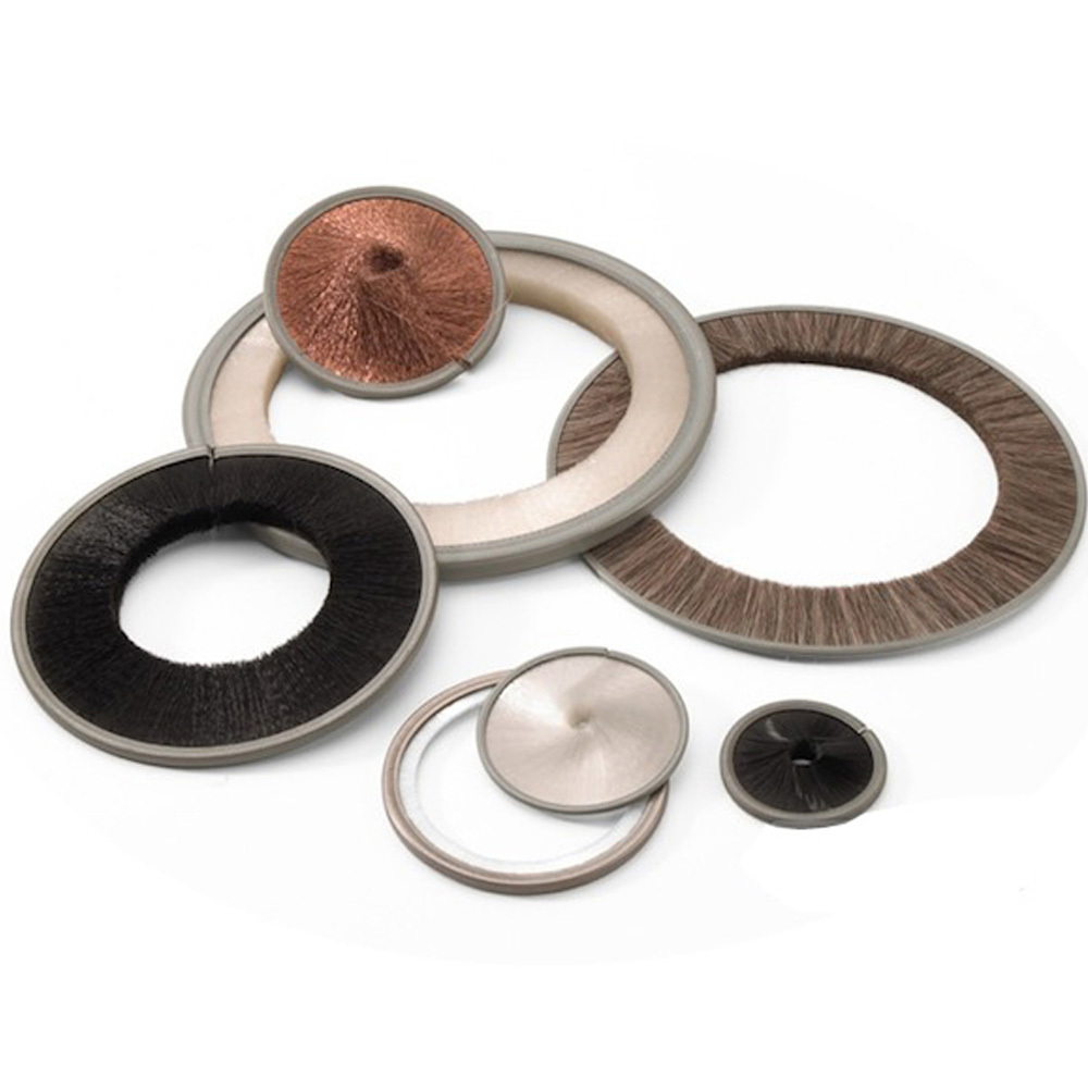 Disk brushes