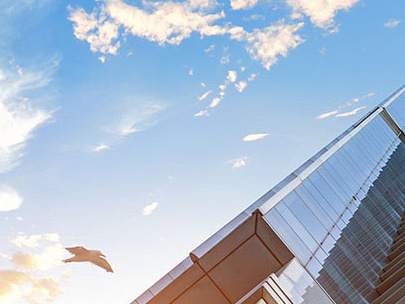 Wuzhou International Trading Co., Ltd.