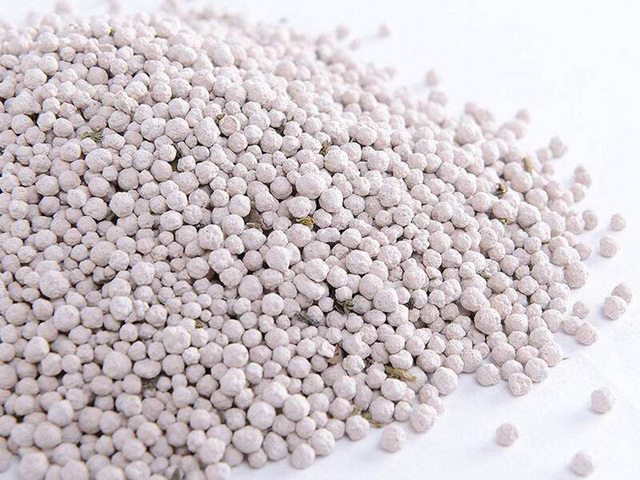 Bentonite Cat Litter
