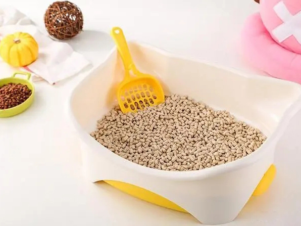 What is cat litter, choose cat litter should pay attention to what aspects?