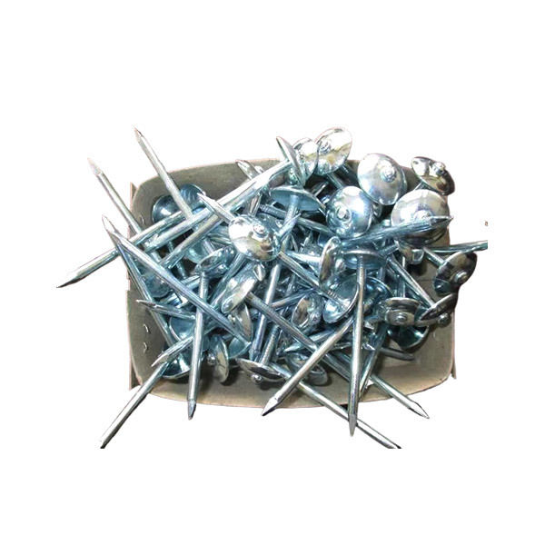 Galvanized Roofing Screw And Washer