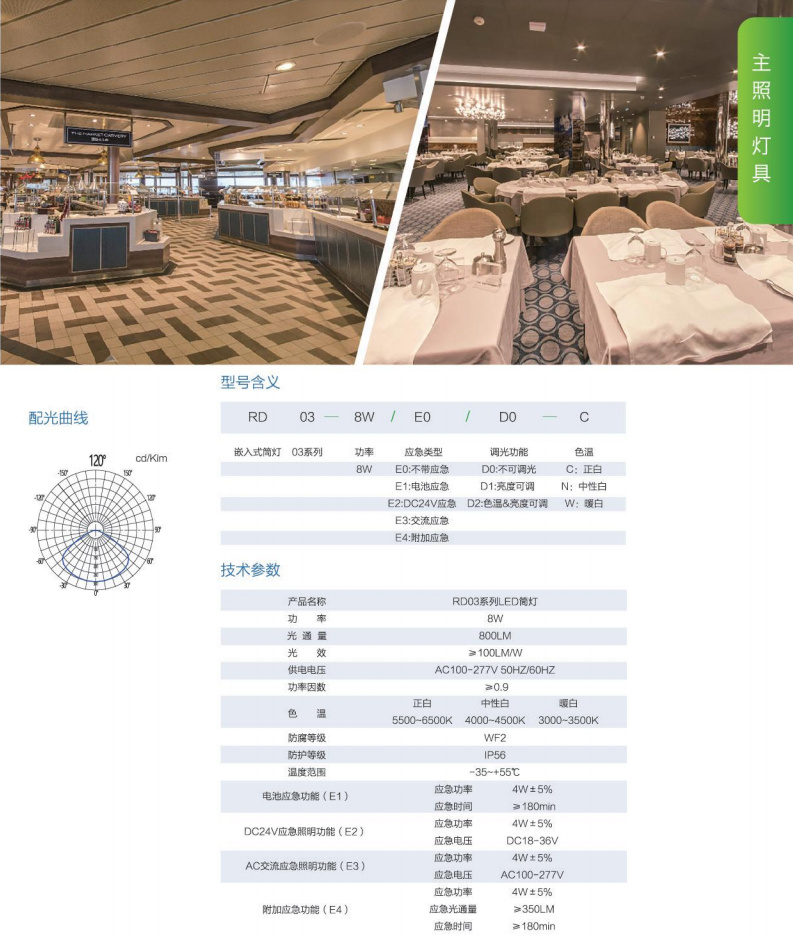 RD03系列 8W