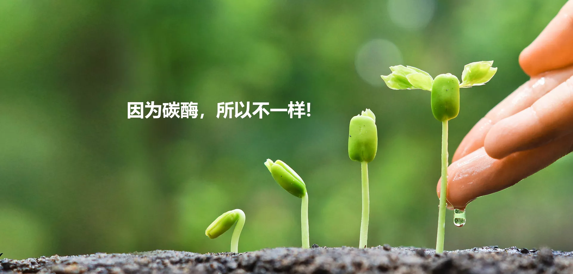 领克农业科技