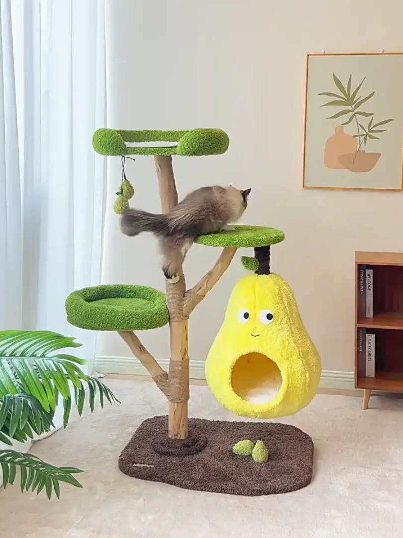 视频标题