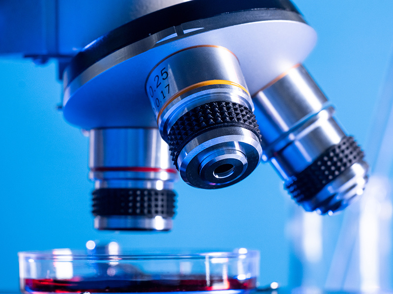 The technical characteristics of PDX modeling service