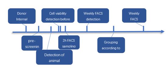 PBMC Quality Control Process