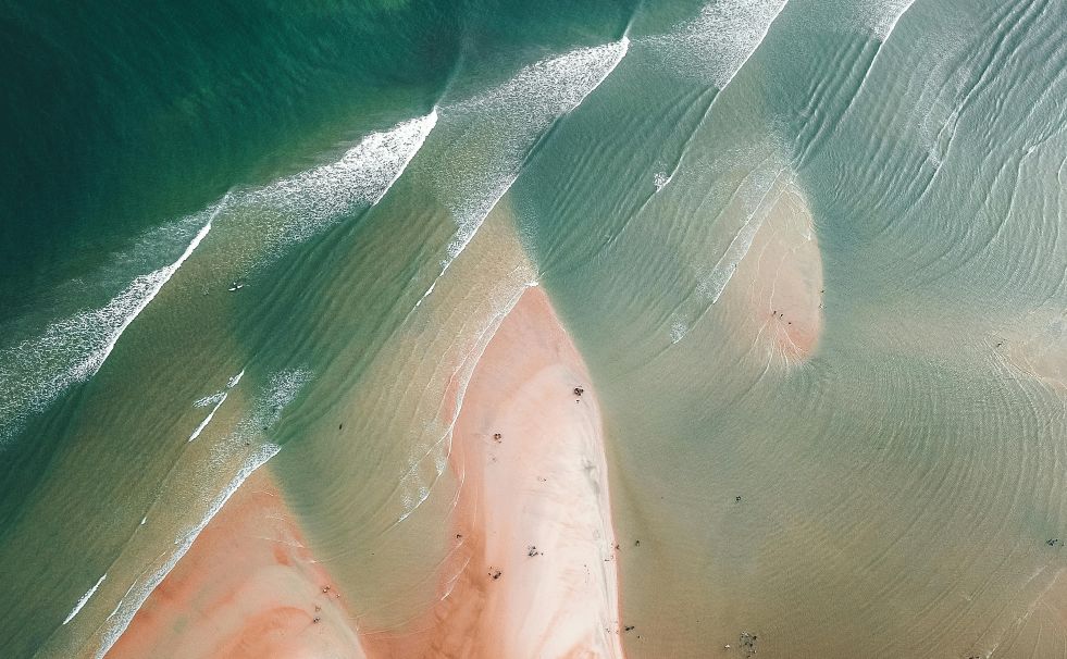 创模生物体外杀伤实验平台
