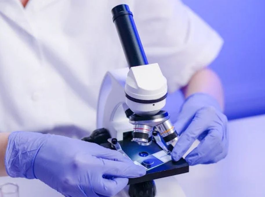 创模生物CDX模型平台：推动癌症研究与药物开发的创新力量