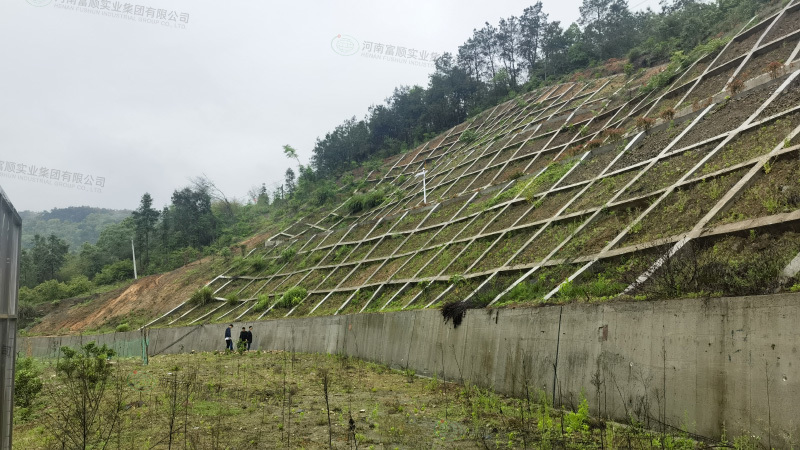 武穴市梅川鎮(zhèn)困龍村水晶山滑坡和余川鎮(zhèn)龜山村一組滑坡防治工程