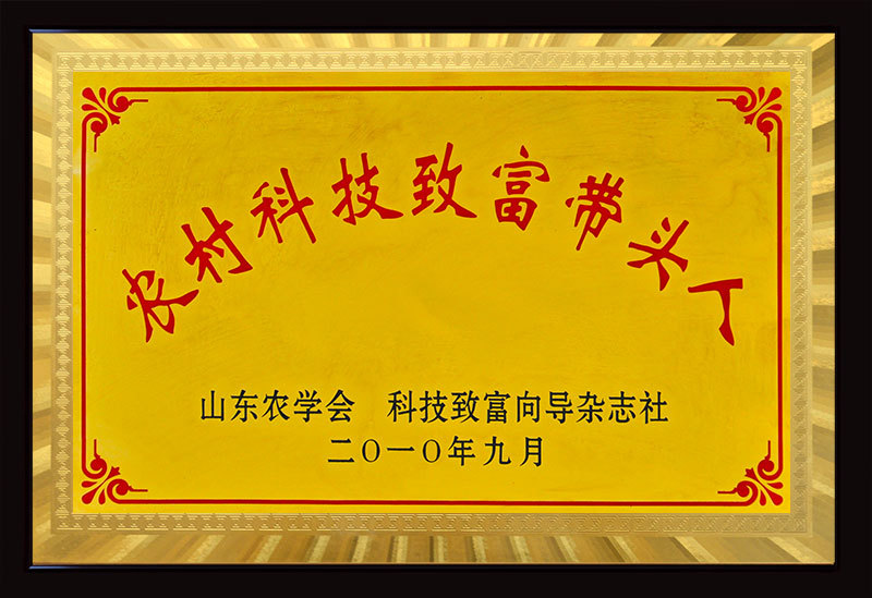 科技致富带头人 科技致富带头人