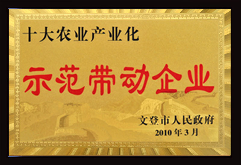 示范带动企业 示范带动企业