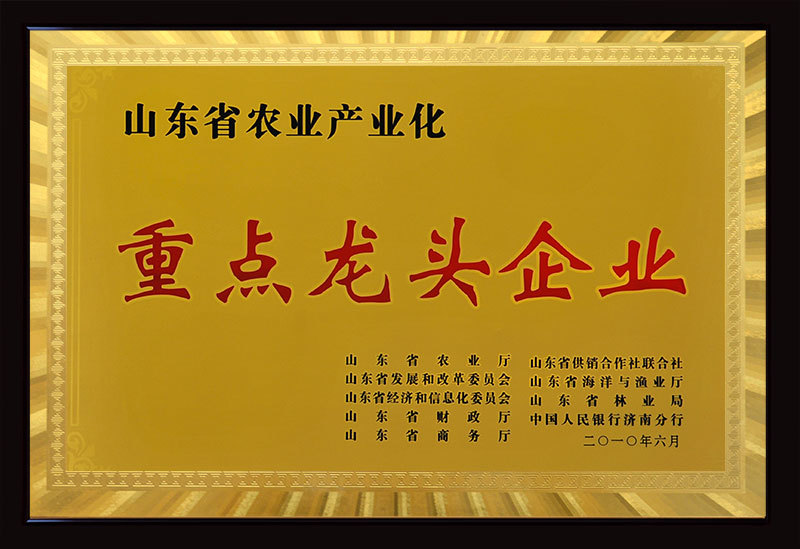 省级重点龙头企业 省级重点龙头企业