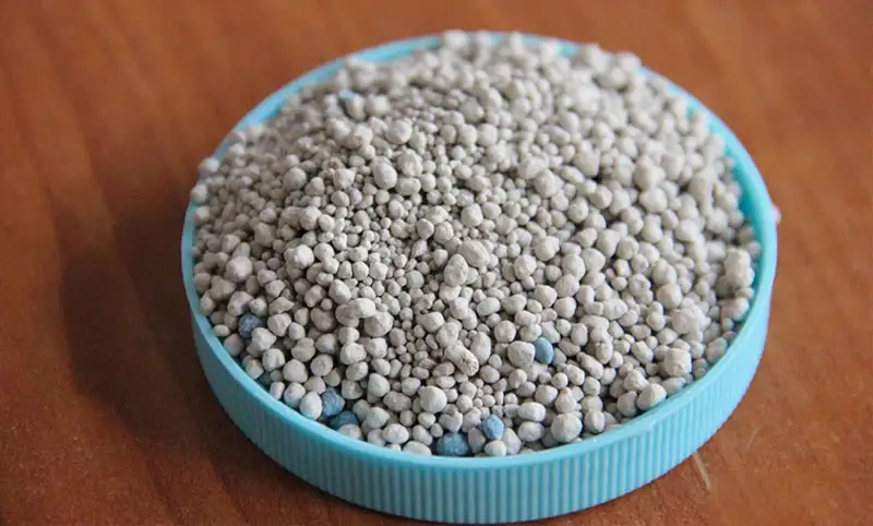 Cat litter guide: do you really know how to use it?