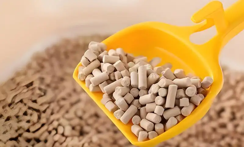 What is the best cat litter for spayed or neutered cats? Why can't I use bentonite cat litter after neutering?