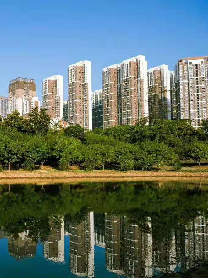 2025澳门2025免费原料网