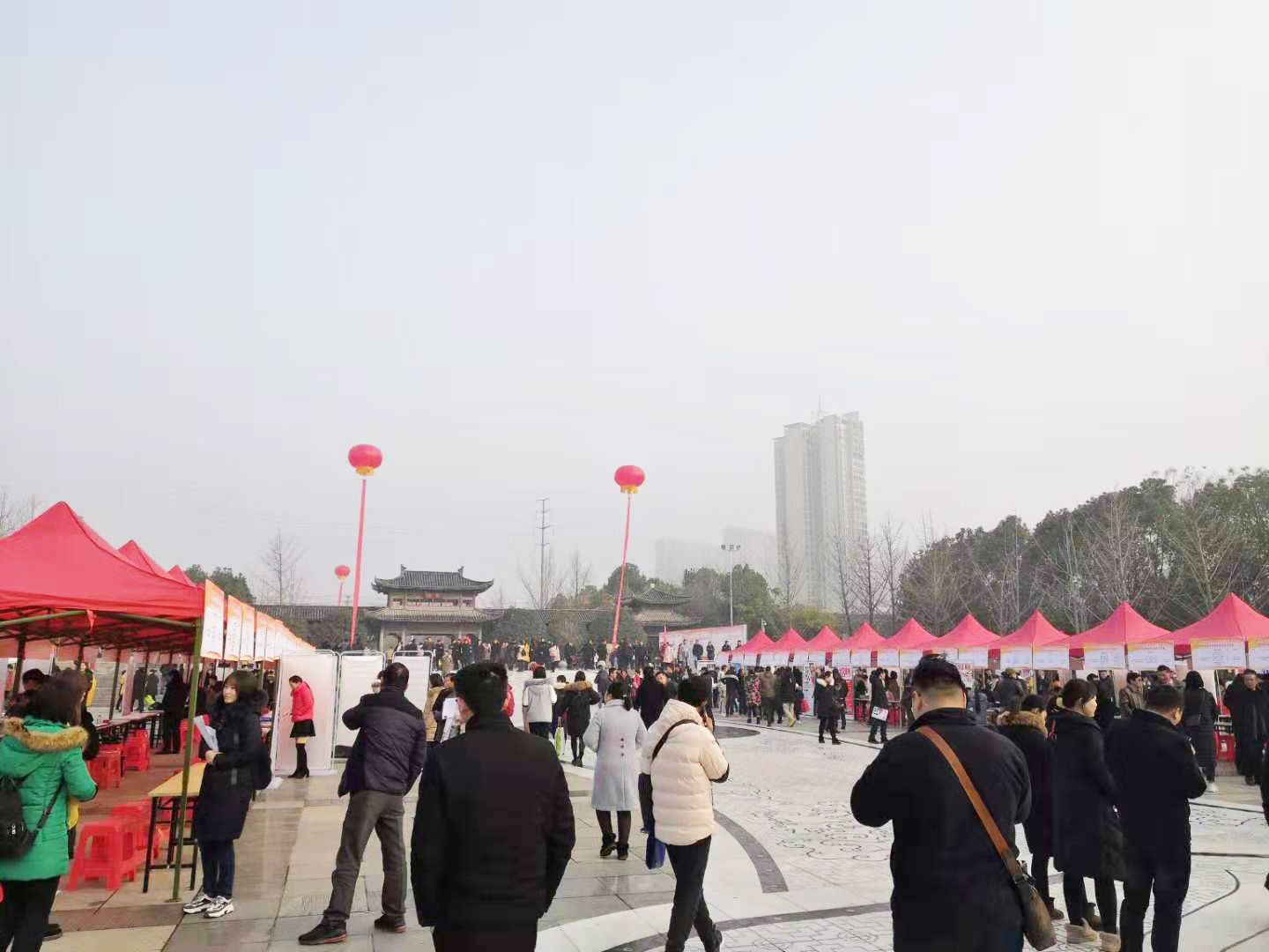 2025澳门2025免费原料网