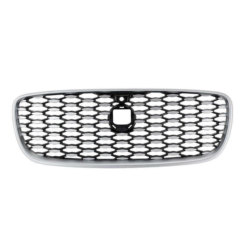Grille w/camera holes,noble chromed