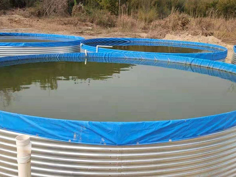 水池