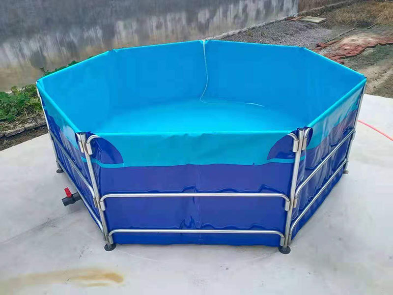 水池