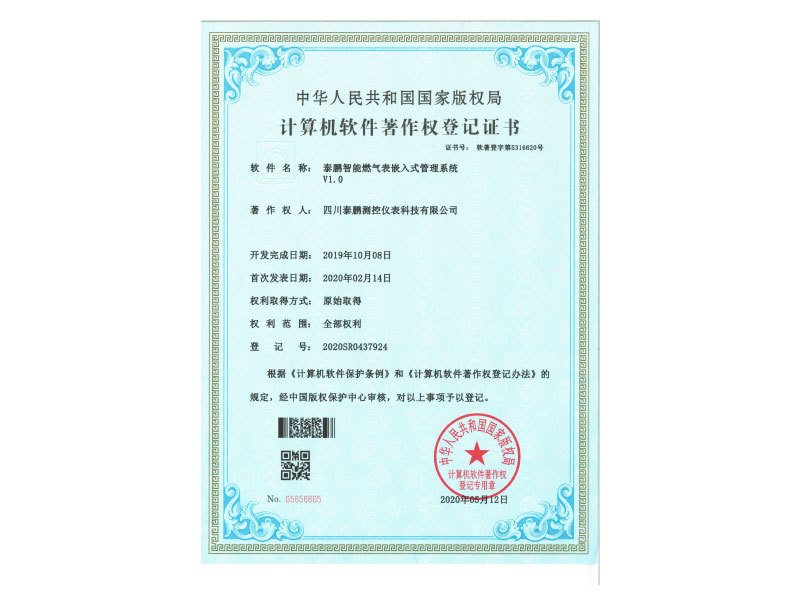 泰鵬智能燃?xì)獗砬度胧焦芾硐到y(tǒng)V1.0
