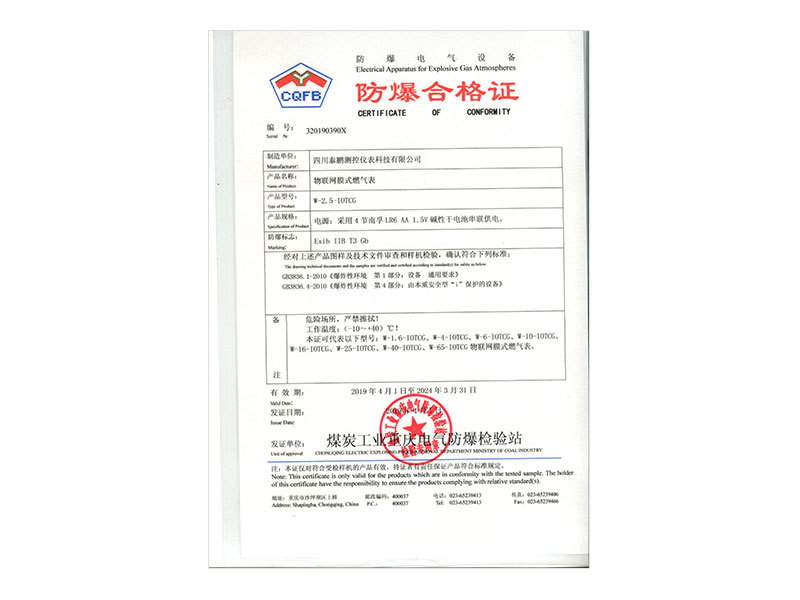 31W-2.5-IOTCG物聯(lián)網(wǎng)膜式燃?xì)獗?0190401