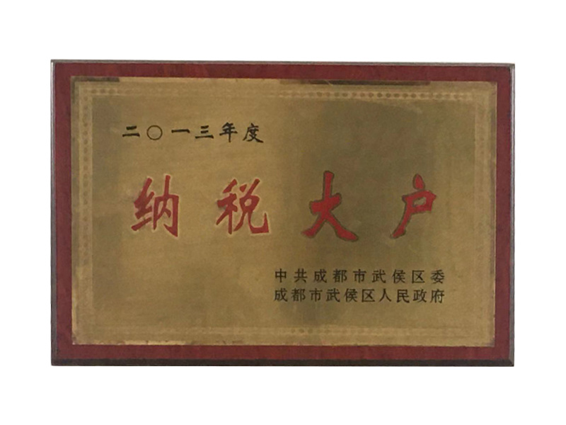 2013年度納稅大戶