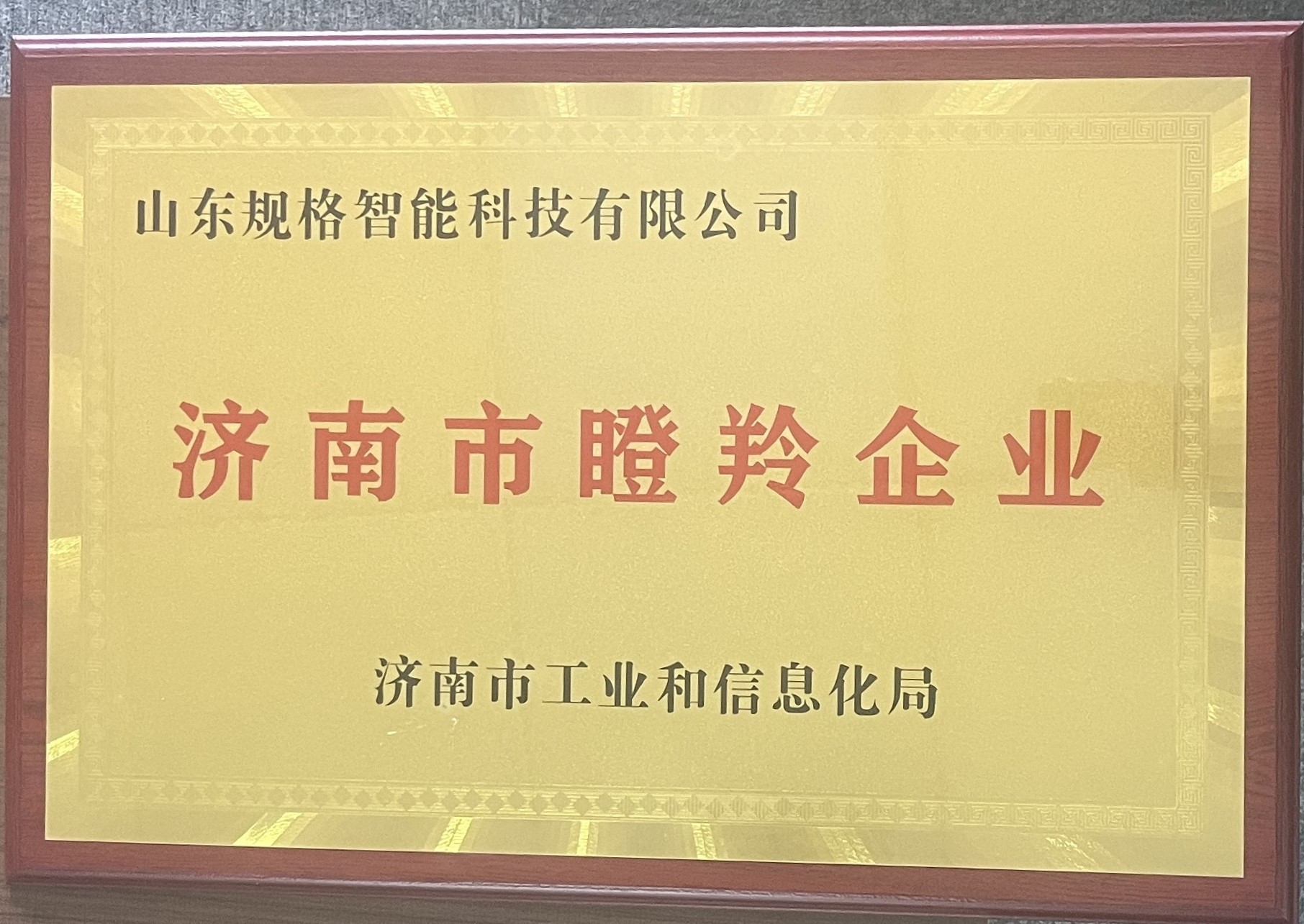 濟(jì)南市瞪羚企業(yè)證書