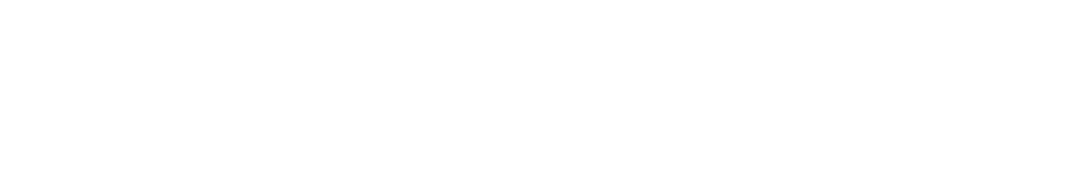 河南省斯诺特起重机械有限公司