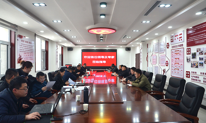 2023年3月20日省應(yīng)急廳到公司調(diào)研硝化技改項(xiàng)目進(jìn)度